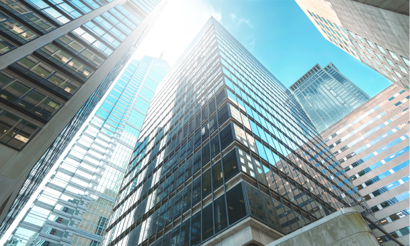 International Real Estate